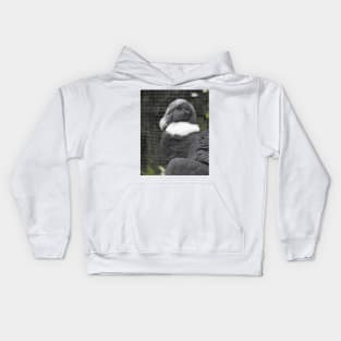 Andean Condor Kids Hoodie